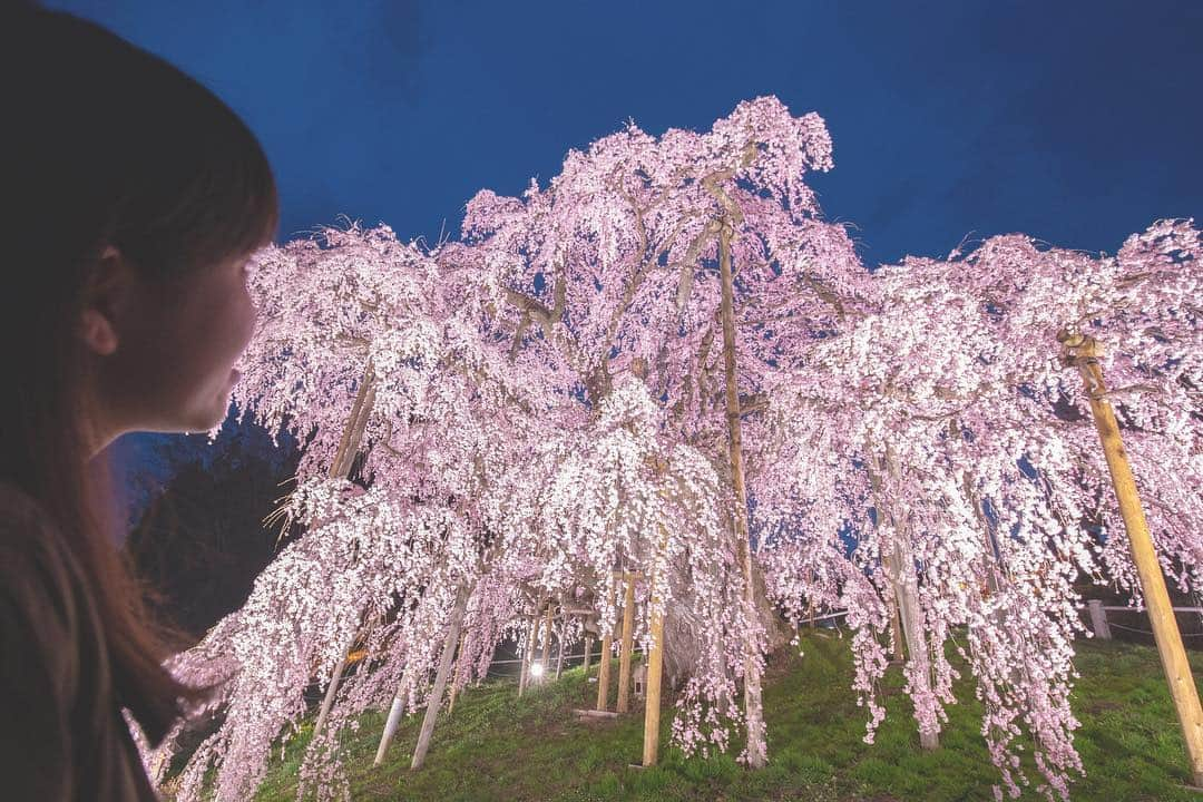 東北女子のインスタグラム