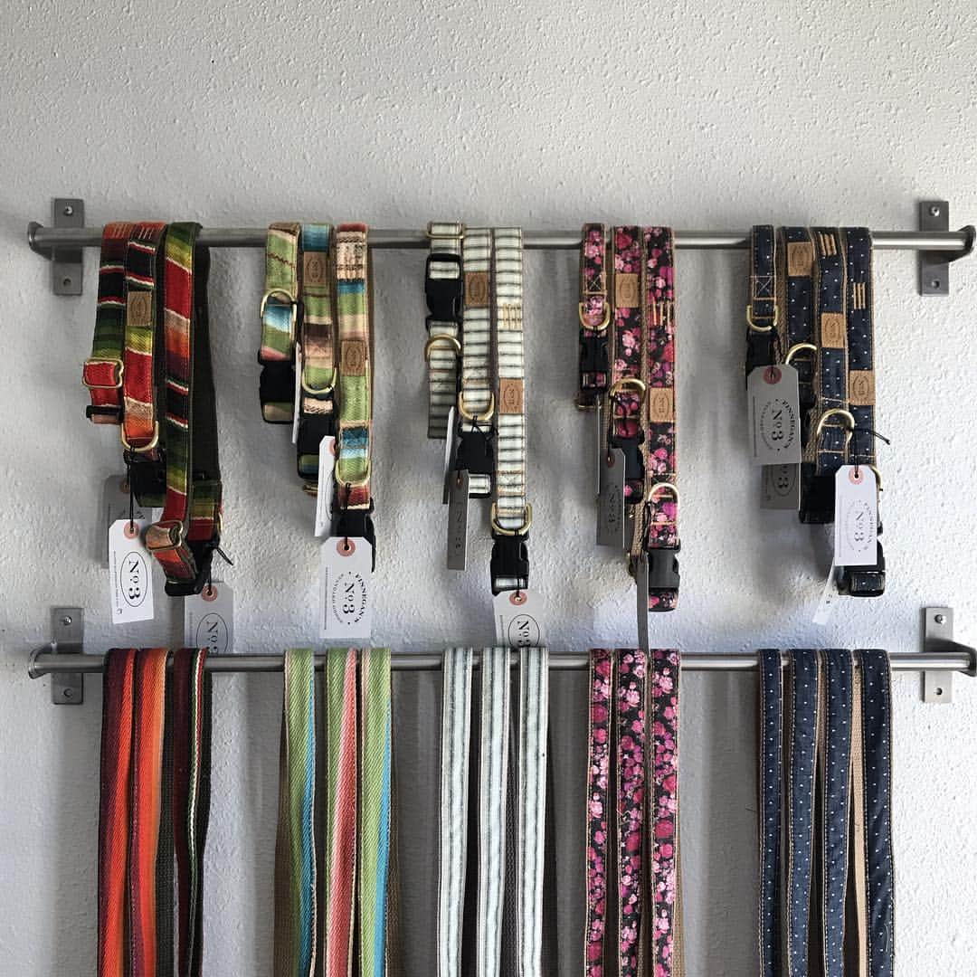 Dogs by Ginaのインスタグラム：「Local leashes and collars made here in the bay area from another woman owned business @bellabeancouture 🐾」
