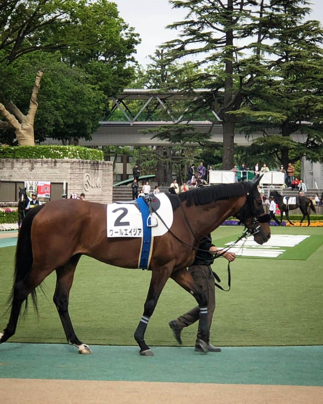 尾崎愛さんのインスタグラム写真 - (尾崎愛Instagram)「日曜は約半年ぶりに🏇！晴れたので富士山も見えましたー🗻☀️ 可愛い容器に釣られ珍しく激甘カクテルを...笑 #東京競馬場 #競馬 #馬 #天皇賞 #パドック #カクテル #お酒 #bar2400 #cocktails #drinks #horseracing #photooftheday」5月2日 1時03分 - aiozaki0422