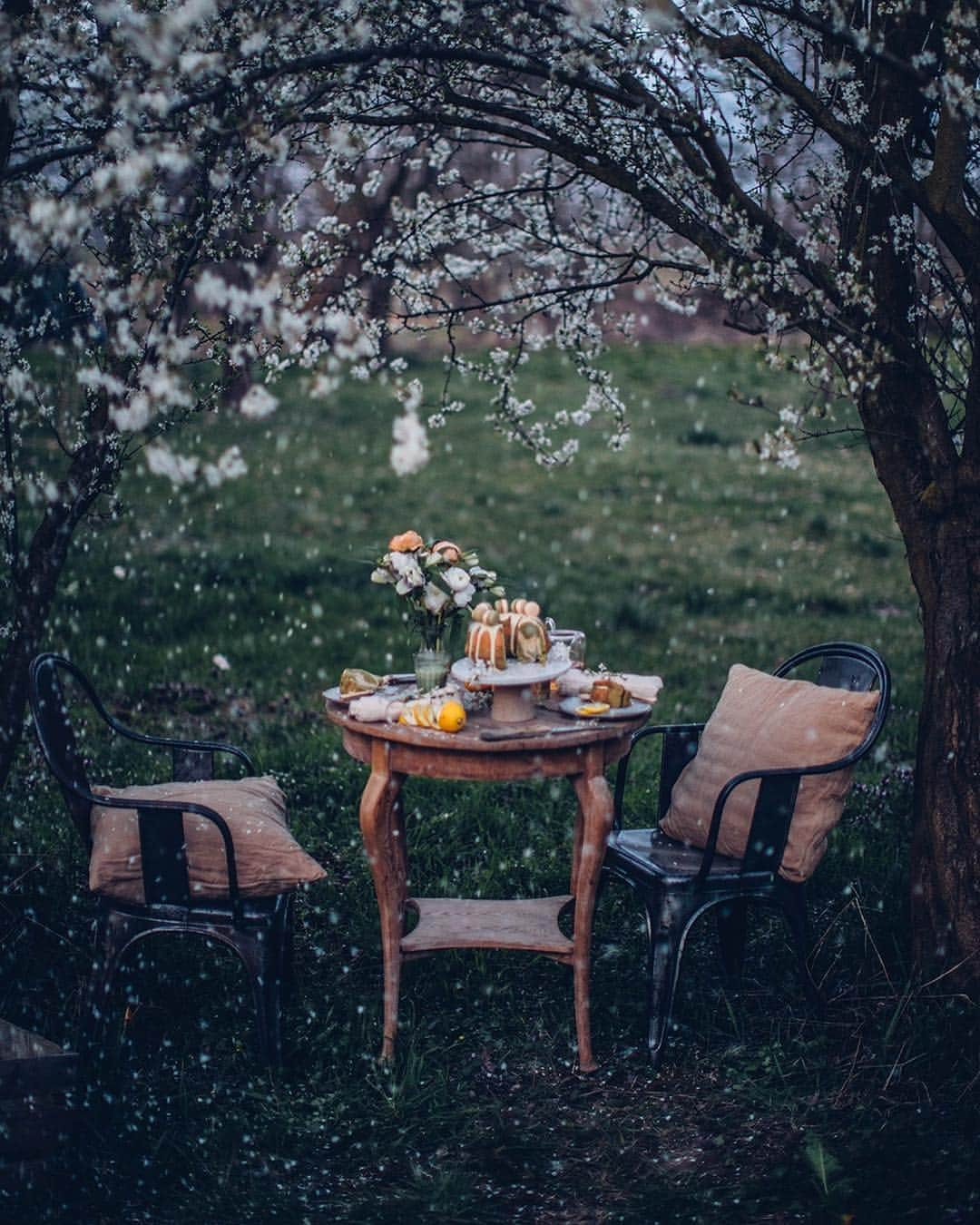 Our Food Storiesさんのインスタグラム写真 - (Our Food StoriesInstagram)「Wouldn’t mind a piece of this delicious gluten-free matcha bundt cake now😋 Get the recipe on the blog, link is in profile. #ourfoodstories  ____ #bloooms #gardeninspiration #gatheringslikethese #gardeninspo #matchacake #glutenfreerecipes #glutenfreeeats #glutenfri #fellowmag #verilymoment #germanfoodblogger #foodstylist #foodphotographer #huffposttaste #simplejoys #countrysideliving」5月2日 1時11分 - _foodstories_