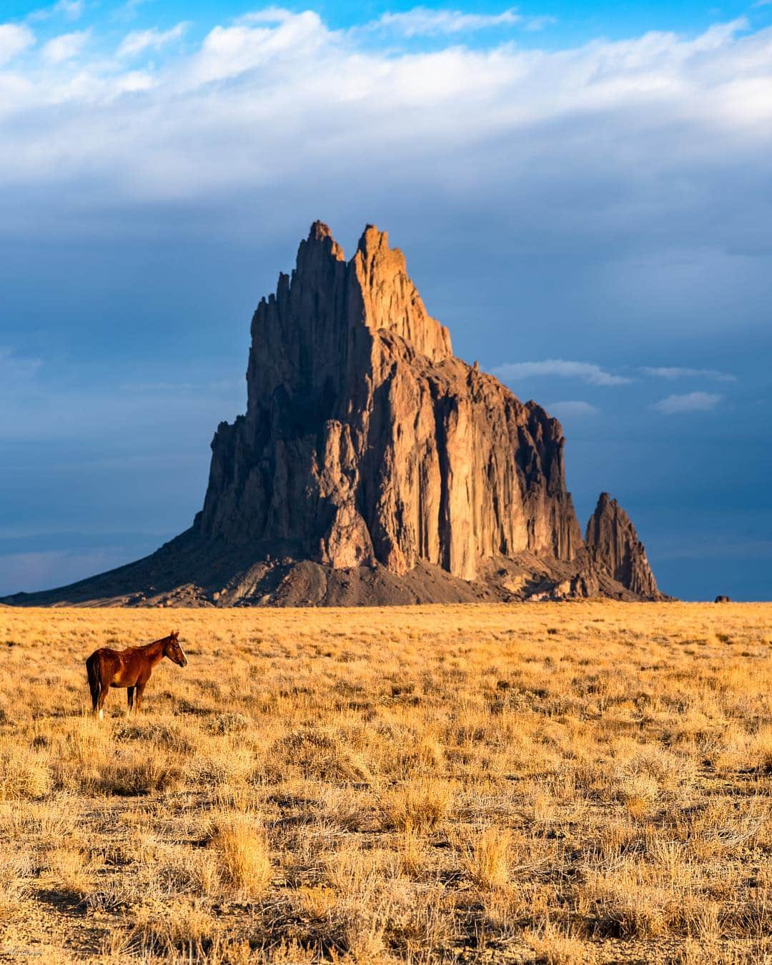 Discoveryさんのインスタグラム写真 - (DiscoveryInstagram)「“The Wild West" 📸 + caption by Alex Groeper (@adventurealexphoto) . . . . #adventure #travel #nature #photography #photooftheday #explore #naturephotography #nature #potd #NewMexico #wildwest」5月2日 1時20分 - discovery