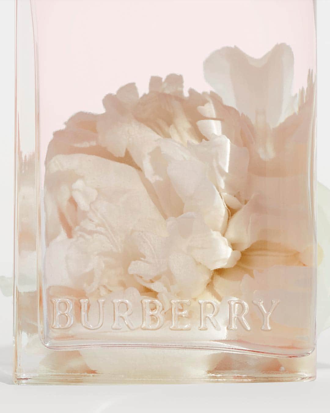 Burberryさんのインスタグラム写真 - (BurberryInstagram)「A new #Burberry fragrance . Introducing #BurberryHerBlossom, the new scent for women – a spring-inspired love letter to London . Fruity and light with mandarin, plum blossom and pink peppercorn. Rounded with notes of musk and dry amber . #BurberryBeauty #BurberryHer」5月2日 1時52分 - burberry