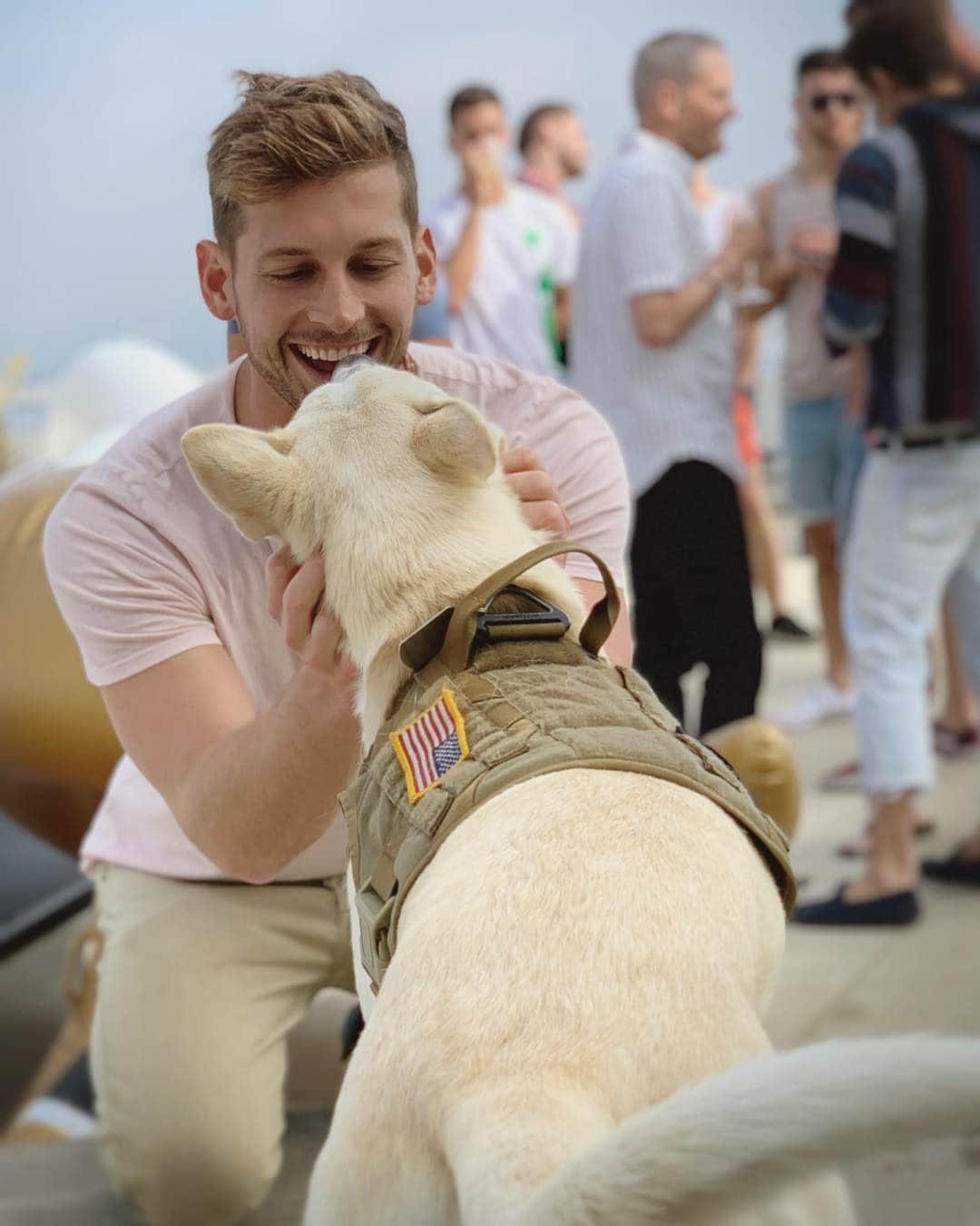 マックス・エマーソンさんのインスタグラム写真 - (マックス・エマーソンInstagram)「Is it rude to bring your dog to parties so that you won’t have to socialize with humans? Asking for a friend. 📸 @andrescamilo___」5月2日 2時42分 - maxisms