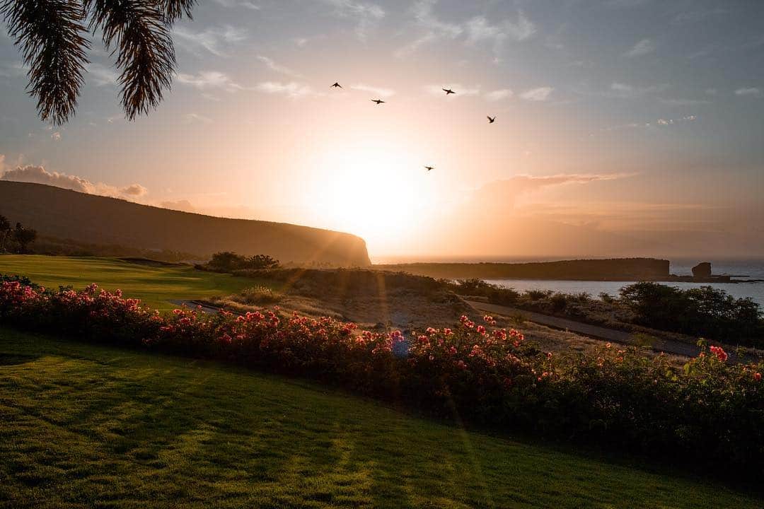 Robert Bingamanのインスタグラム：「Sunrise on the island.」