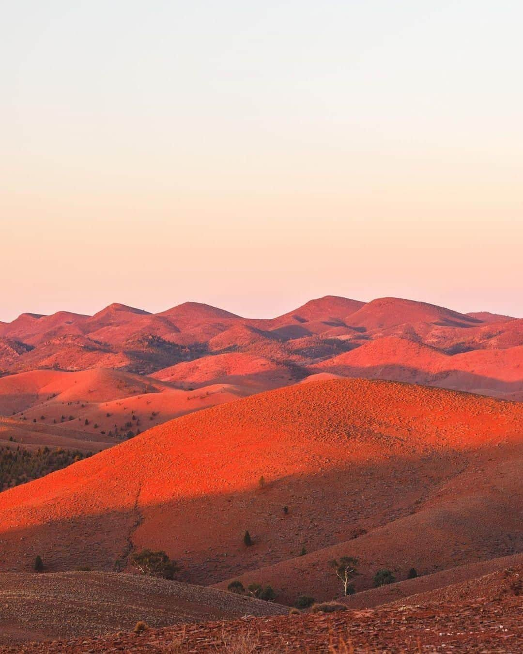 Australiaさんのインスタグラム写真 - (AustraliaInstagram)「@southaustralia’s outback scenery is seriously out of this world! 🤯  @denham.robert was exploring the #FlindersRanges when he captured this beautiful shot, describing this remote outback area as “incredible to say the least.” The iconic Ikara-Flinders Ranges National Park is known for its ancient and rugged mountain landscapes, which are home to impressive geological features and a wide range of native wildlife. Stay right in the heart of this incredible area at @wilpenapoundresort and join one of their tours to learn more about the park’s Aboriginal history, it’s bound to make you appreciate this stunning destination even more.  #seeaustralia #seesouthaustralia #flindersranges #travel #landscapephotography」5月2日 4時00分 - australia