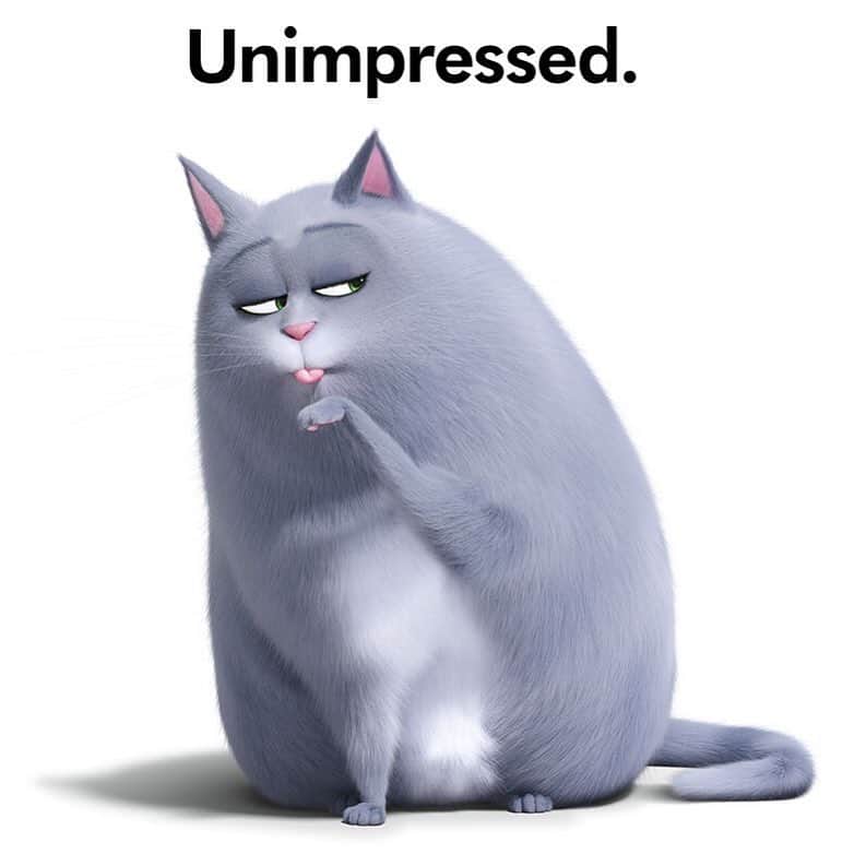 レイク・ベルのインスタグラム：「Me. Ow. #NationalPetMonth starts NOW! @secretlifeofpets in theaters on June 7th. 🐾🐾🐾🐾🐾🐾🐾🐾🐾🐾🐾🐾🐾」
