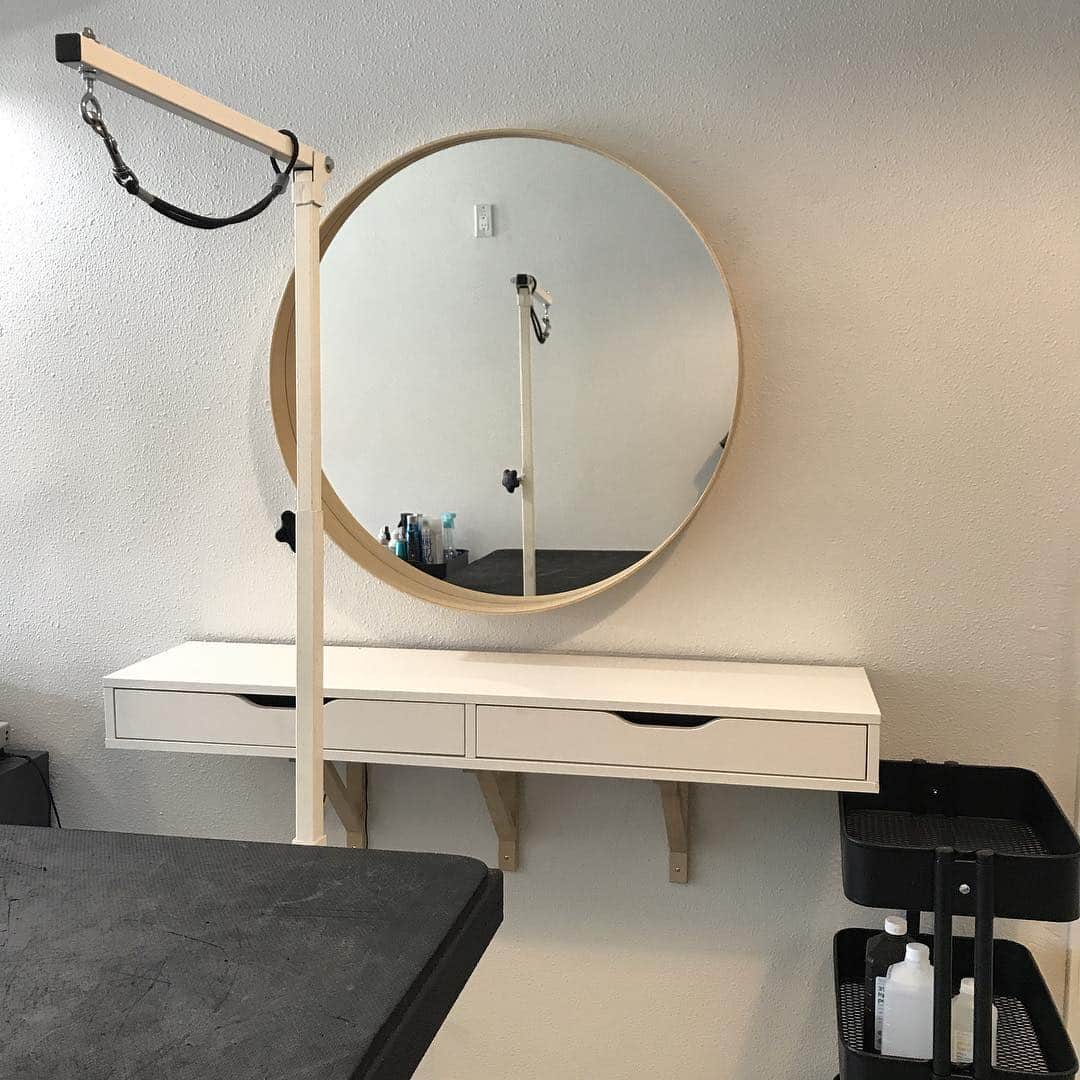 Dogs by Ginaのインスタグラム：「Table for rent! Manage your own business without all the overhead. Email me if interested. 🐾」