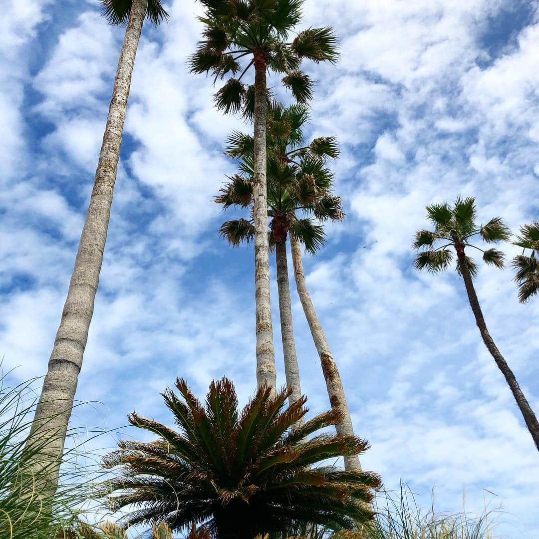 Isseki Nagaeさんのインスタグラム写真 - (Isseki NagaeInstagram)「early summer sky ☀️ #surfinglife #beachlife🌴 #beachlife #surfing #kamakura #palms」5月2日 5時17分 - isseki_nagae