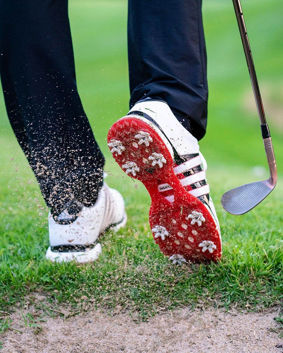 adidas Golfさんのインスタグラム写真 - (adidas GolfInstagram)「Step out and create. It’s the perfect day to play. #NationalGolfDay #TOUR360 XT ➖ #adidasGolf #Golf」5月2日 5時30分 - adidasgolf