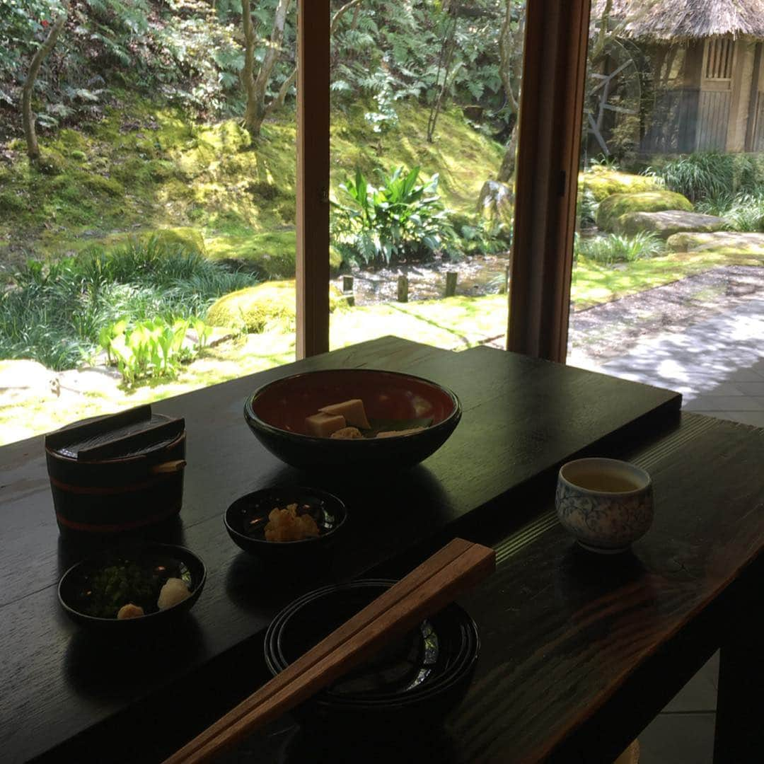 沢瀉美緒さんのインスタグラム写真 - (沢瀉美緒Instagram)「※ Lunch @zen_museum_and_gardens ✨ . お昼ご飯は、事前に予約した 五観堂で、太くて長いおうどんを。 . 修行時に頂くお作法を教わって 食べるとこも修行のひとつだとか。 . お漬物もぽりぽり鳴らないように 奥歯をゆっくり擦り合わせながら 頂いたんだとか。 . . #名和晃平 #nawakohei #禅と庭のミュージアム #せとうち #zen #禅 #神勝寺 #travelmio #ピエールエルメ #pierreherme #洸庭 #coffee #コーヒー好きな人と繋がりたい #art #hiroshima #広島 #zen #禅」5月2日 6時02分 - mio_omodaka