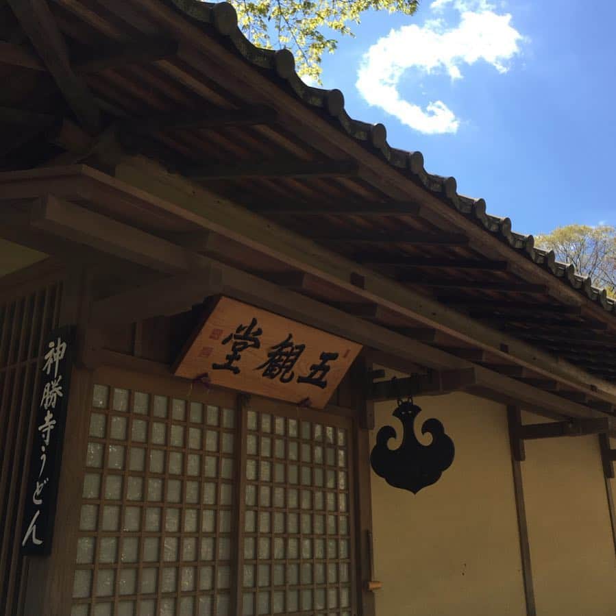 沢瀉美緒のグルメインスタ