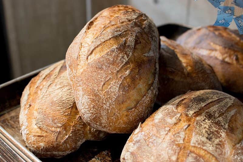 笹塚駅のパン屋さん オパンのグルメインスタ