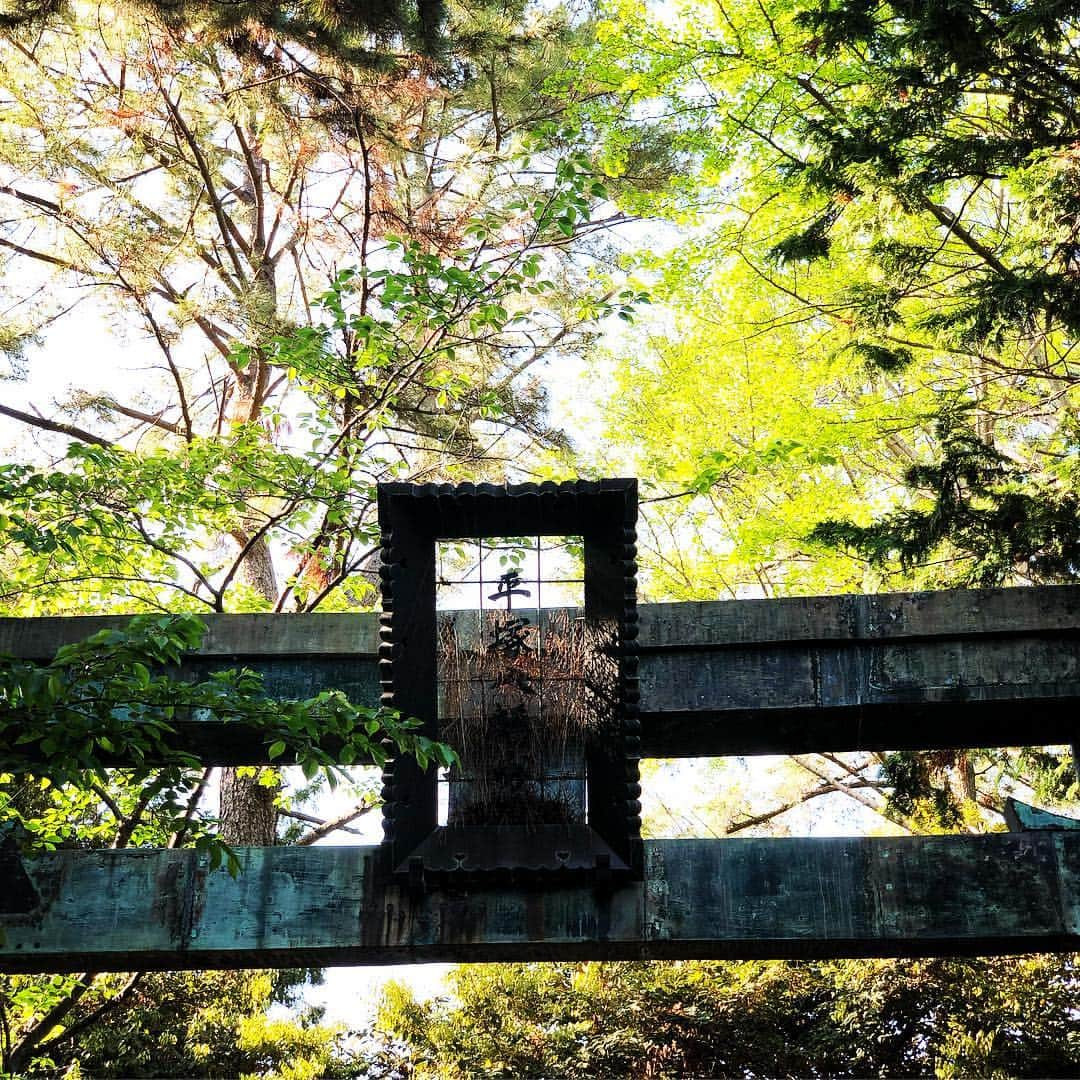 高野進のインスタグラム：「令和二日目、平塚八幡にて必勝祈願。」