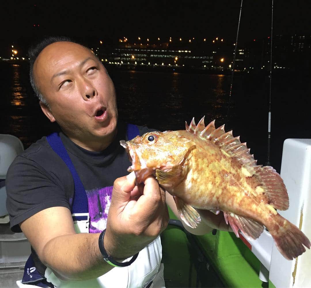 川目梢さんのインスタグラム写真 - (川目梢Instagram)「本日サンスポ掲載 船橋『内木丸』さんで夕まづめの尺カサゴ🎣飯岡『優光丸』の伊藤高弥船長とバトル編です🆚🔥 15号と軽いオモリでのやり取りは引き味抜群‼️ なんと6、7月には水深3、4mをオモリ5号で楽しめるって言うから驚きなのです😵  ぜひ皆様も内木丸の尺カサゴお試しあれ〜‼️ #船橋 #内木丸#カサゴ#尺カサゴ #釣り#釣りガール #釣り好きな人と繋がりたい #釣り女子 #優光丸」5月2日 16時23分 - kozukozu0615