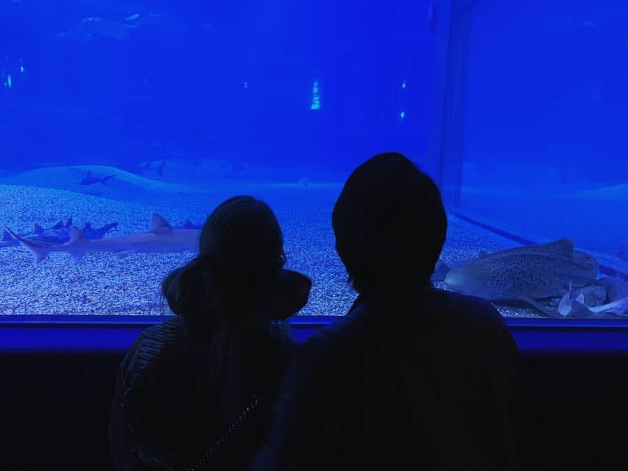 ALINA AKULAさんのインスタグラム写真 - (ALINA AKULAInstagram)「#akulainlove❤️🦈 . . #couplegoals #lovestory #океанариум #aquarium #подводныймир #seaworld #fishes #animalovers」5月2日 16時40分 - radharanievna