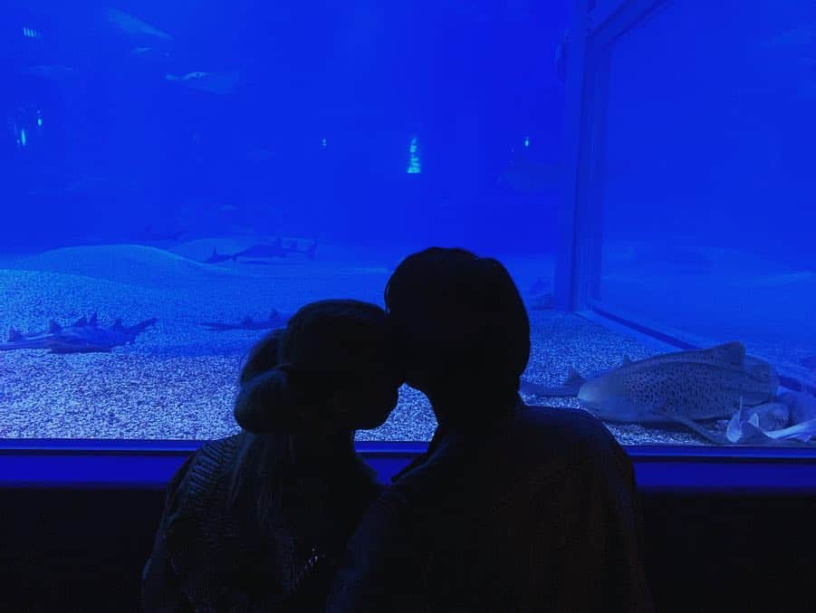 ALINA AKULAさんのインスタグラム写真 - (ALINA AKULAInstagram)「#akulainlove❤️🦈 . . #couplegoals #lovestory #океанариум #aquarium #подводныймир #seaworld #fishes #animalovers」5月2日 16時40分 - radharanievna