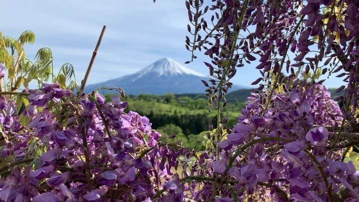 phantastic420のインスタグラム：「. 🤩🤩“Shizuoka” prefecture in Japan is a place where you can see the most “phantastic” Mt. Fuji🗻 in the world.🤩 #富士山 #mtfuji #japan #shizuoka #fujinomiya  #phantastic420photography #mostphantasticmtfuji #selamatpagi  #goodmorning  #おはようございます 😇😇😇😇😇😇😇🗻😇😇」