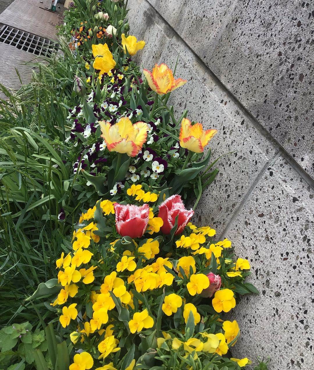 魔女菅原のグルメインスタ