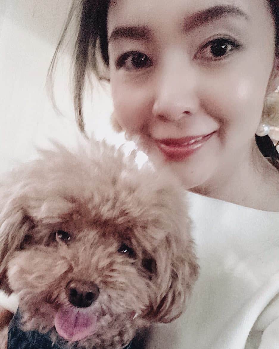 日下裕江さんのインスタグラム写真 - (日下裕江Instagram)「『令和も宜しくだわん🐾』💕 #toypoodle #dogstagram #dog #令和 #令和元年 #令和も宜しく」5月2日 9時06分 - hiroe___h