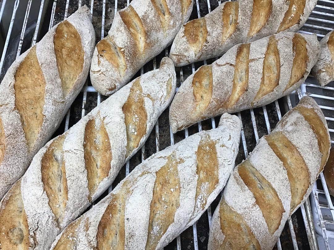 魔女菅原のグルメインスタ