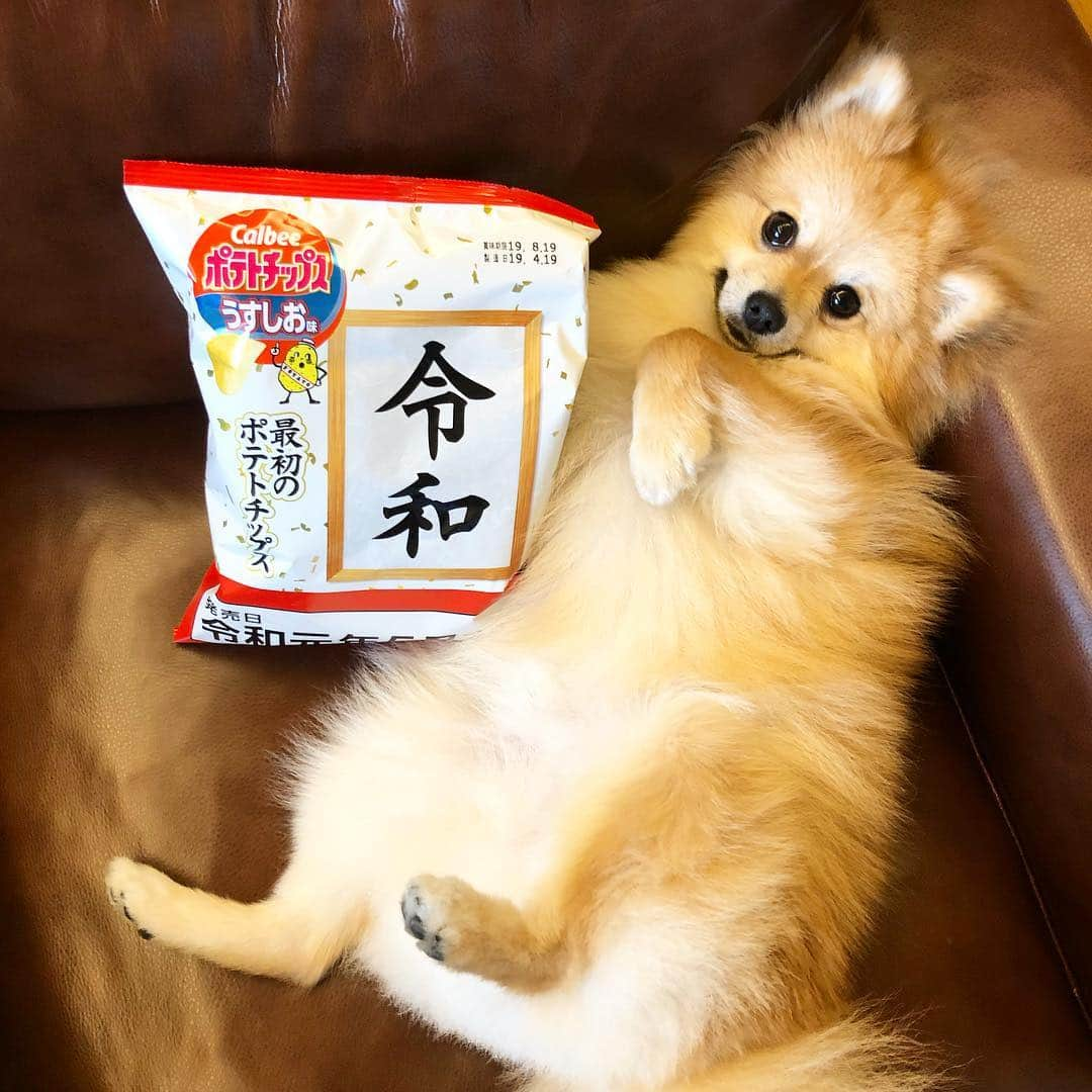 HIROKAZさんのインスタグラム写真 - (HIROKAZInstagram)「令和🐕」5月2日 9時39分 - hirokaz04ls