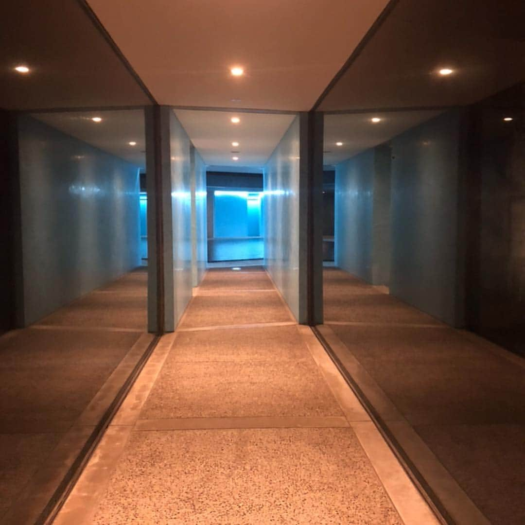 新山千春さんのインスタグラム写真 - (新山千春Instagram)「モノレールに乗って お部屋へ。  到着したら 青の世界(*˘︶˘*).｡.:*♡ 🤩🌹 モノレールに乗って ゆっくりゆっくり進みながら 見えてくる景色も、  見応えありました👏 . こちらの美術館付きのHOTEL。 #Benessehouse オーバル  の設計は #安藤忠雄 さん🤩 . 宿泊者は夜9時過ぎても 美術館で ゆっくり作品を楽しむことが出来るのも 嬉しかった🌹(*˘︶˘*).｡.:*♡ . ある意味！ 貴重な雨の⋆̩☂︎*̣̩の直島。 吹き抜けの天井から雨が⋰⋰ ☂  ポツポツって落ちてくるのも、また美しかった。。。 . 今度来る時はまた 見える景色が 違うんだろうなぁ(*^。^*) . 天気とか、雲とかも、 水面にうつるから 今度は、、、全く同じ景色は見られない。 artだねぇ🤩👏👏👏👏 .  _____________________________________________________🌴 #art 好き🎨#chihuahua #dog 🐶  #mamafashion #Japaneseactress #casualcoordinate #denimcoordinate #makeup #model  #mama#mamastyle #Instagood #cooking #streetwear #mamacoordinate #hairarrange #streetfashion  #outfit #casualstyle  #outfitstyle #촬영 #粉我 #나를따르라  #fashionistas #dailylook #coodinate #新山千春  _____________________________________________🌴🌵🌴」5月2日 10時00分 - chiharuuu_0114