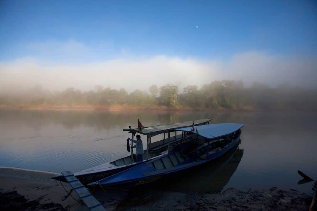 National Geographic Travelさんのインスタグラム写真 - (National Geographic TravelInstagram)「Photo by @sofia_jaramillo5 | Boats on the banks of the Tambopata River in the Peruvian Amazon Rainforest. For more photos from Peru and other South American countries follow me @sofia_jaramillo5 #rainforest #travelsouthamerica #travels #traveltheworld」5月2日 10時06分 - natgeotravel