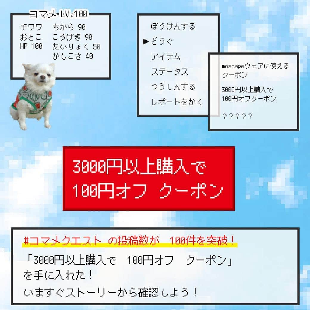 iDog&iCatのインスタグラム