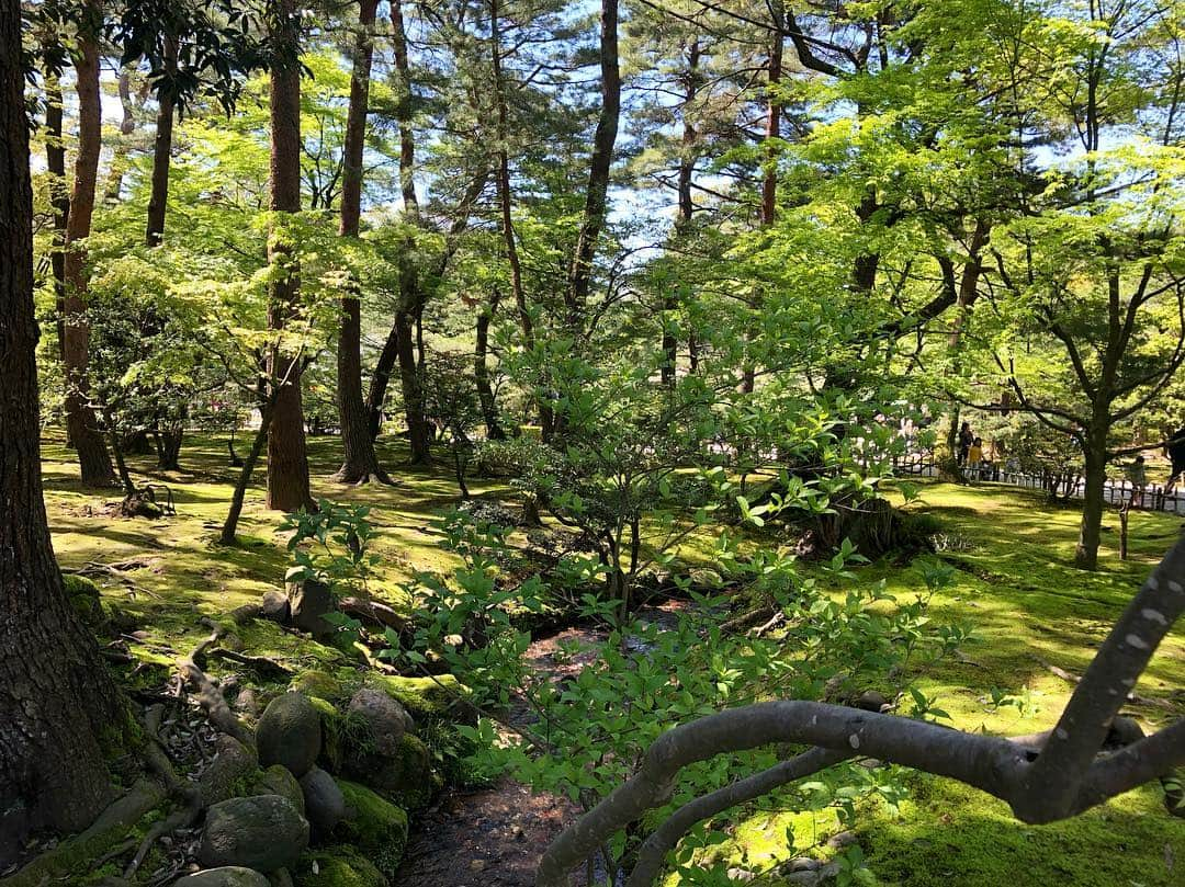 吉原珠央さんのインスタグラム写真 - (吉原珠央Instagram)「兼六園へ♫  #8年ぶり！？ #兼六園 #歩いているだけで #気持ちが良い^_^ #この後、子供たちに #何度も靴の踵を踏まれて #雷が落ちるまでは⚡️」5月2日 17時15分 - tamaoyoshihara