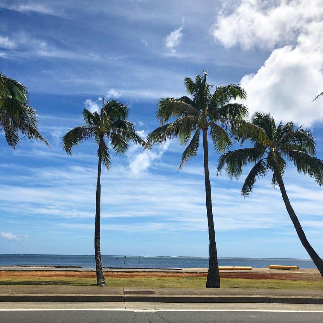 Aloha Street アロハストリートさんのインスタグラム写真 - (Aloha Street アロハストリートInstagram)「東オアフ方面のハワイカイへ向かう海沿いの一本道。車で走っていてとても気持ちいいです！(ユウリ)  #ハワイ #ハワイ旅行 #ビーチ #ハワイ暮らし #ハワイ好き #hawaii #hawaiikai #beach #palmtree」5月2日 17時09分 - alohastreetcom_hawaii