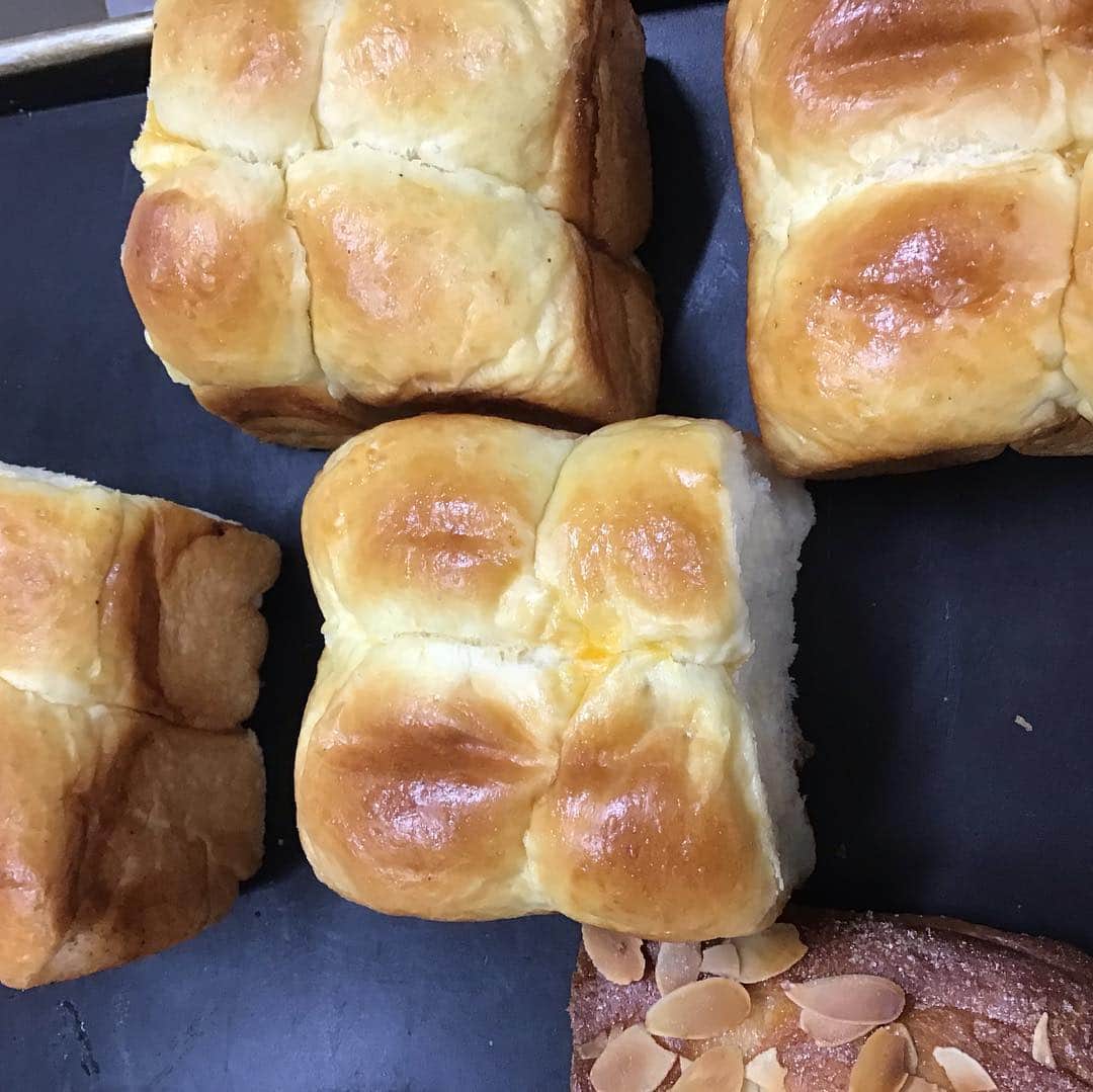 魔女菅原のグルメインスタ