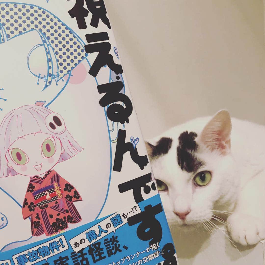 伊藤三巳華のグルメインスタ