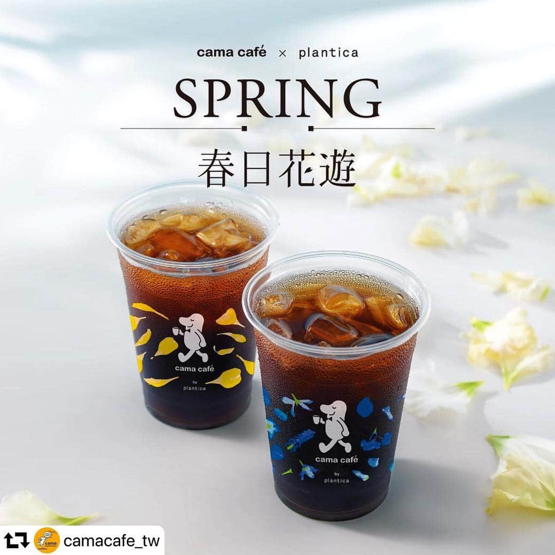 planticaさんのインスタグラム写真 - (planticaInstagram)「【週末花香飲品買一送一】 ▸ 本週末04/27.28 ▸ 大杯花香咖啡飲品（百蜜花園&花香耶加雪菲）同品項買1送1 ---- IG美拍抽沖繩雙人機票 ❚ 04/19-05/14 ⋆ 拍攝美杯或花香系列商品 ⋆ 公開上傳IG貼文或限時動態 ⋆ 完成以下標註：  @camacafe_tw  @plantica_jp  #春漾花季 ⋆ 就有機會抽中沖繩雙人來回機票或花漾雙層玻璃瓶～ ---- #拿鐵 #咖啡 #插花 #咖啡廳 #花見 #花艺 #plantica cafe #latte #floral #art #camacafe」5月2日 12時15分 - plantica_jp