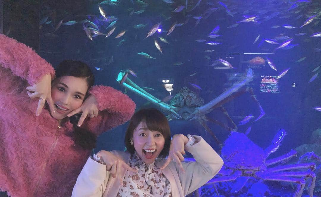 平野ノラさんのインスタグラム写真 - (平野ノラInstagram)「タカアシガニとシーラカンスと木彫り男 🦀🐟🧙🏻‍♂️ 「まるごと」16:50〜静岡第一テレビ  #静岡 #まるごと #まるごとツイート #毎週金曜日 #おったまげ調査隊 #観るっきゃないゾ #タカアシガニを探せ #シーラカンス #30年以上冷凍保存 #ぶっ飛び #木彫り作品 #鳥越アナ  #平野ノラ #okバブリー」5月2日 13時11分 - noranoranora1988