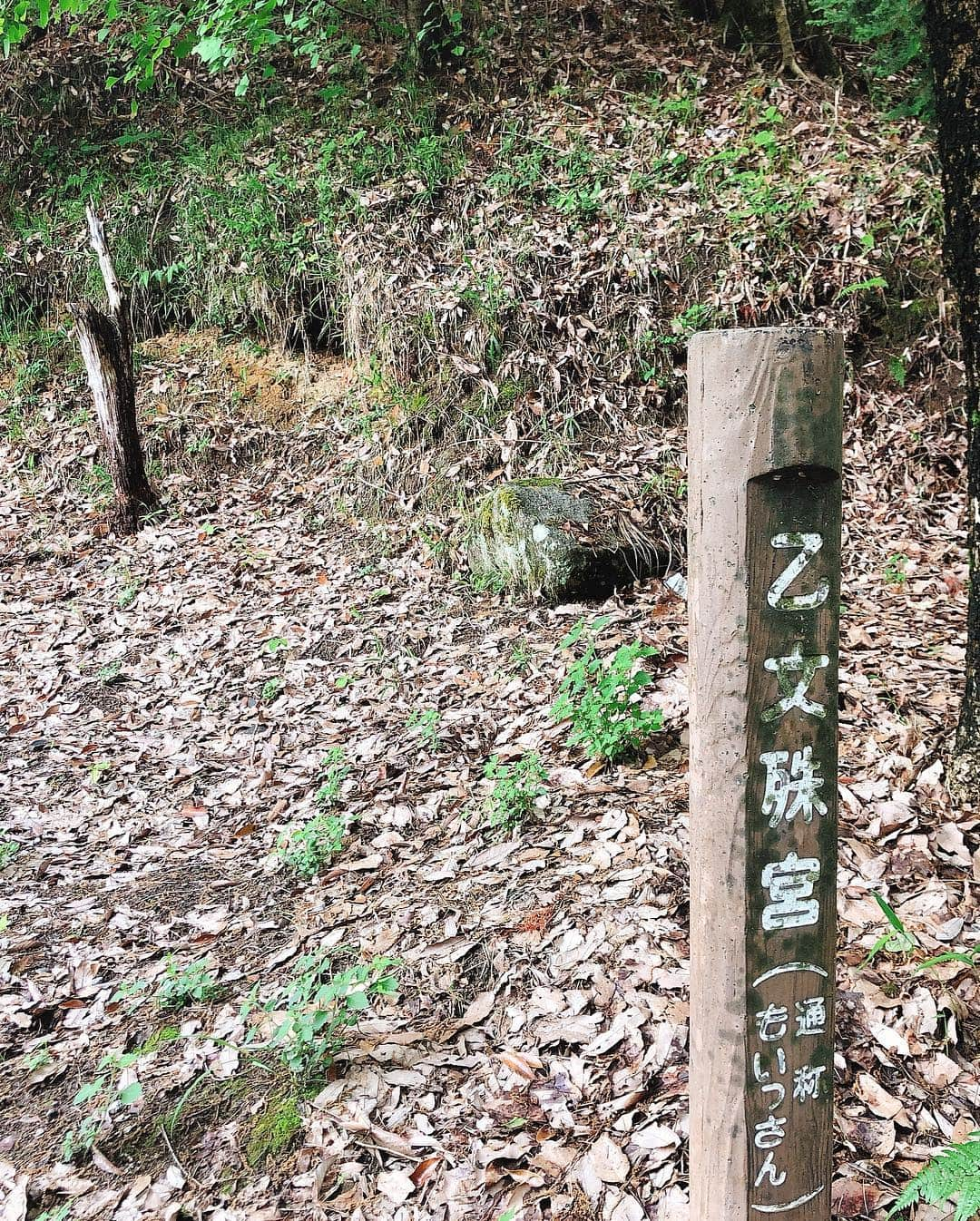 坂本 愛玲菜さんのインスタグラム写真 - (坂本 愛玲菜Instagram)「🌳⛩ 朝から  いとこのお礼参りに、一緒に☺️ 佐賀県の受験祈願で有名な、 「乙文殊宮」という神社へ☺️ 『落書き堂』ともいって 神社に学問の願いごとを書くと 願いが叶うだとか、  神社までめっちゃ山登って🏔 朝からいい運動〜😂 とっっても素敵なところでした  あ、令和初お参り☺️縁起がいい！  #落書き堂 #乙文殊宮 #令和 #gw」5月2日 13時34分 - erena_hkt48