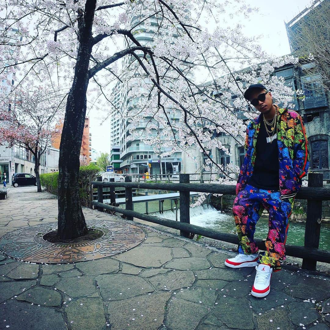 DJ HALさんのインスタグラム写真 - (DJ HALInstagram)「札幌花見🌸🌸🌸 このタイミングで桜を見れてラッキー🤘🏾😎 #札幌 #花見 #令和」5月2日 14時01分 - djhal