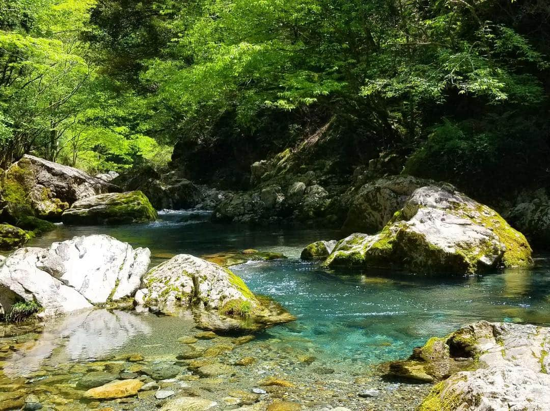 鈴木ちなみさんのインスタグラム写真 - (鈴木ちなみInstagram)「Nature 💚⚪️💙 #円原川 #山県市 #岐阜 #スタイルプラス  #ちなみたび  jacket...#ジネス tops＆pants...@lounie_jp」5月2日 14時08分 - chinami_suzuki0926