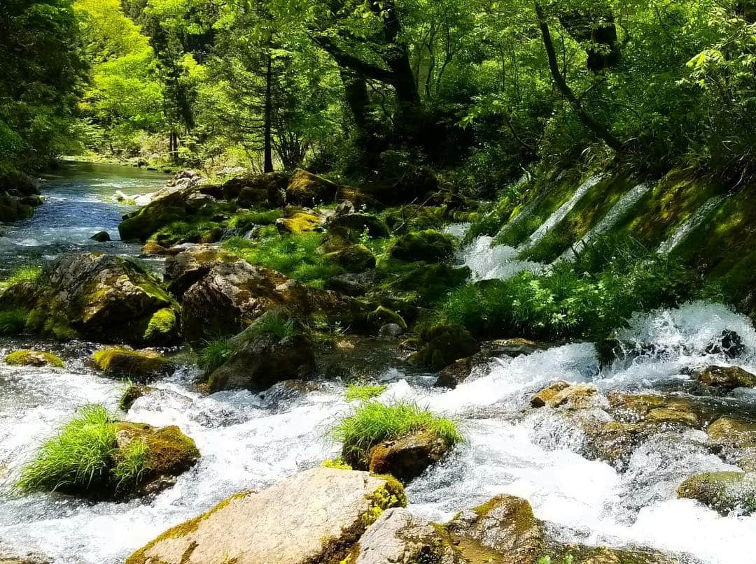 鈴木ちなみさんのインスタグラム写真 - (鈴木ちなみInstagram)「Nature 💚⚪️💙 #円原川 #山県市 #岐阜 #スタイルプラス  #ちなみたび  jacket...#ジネス tops＆pants...@lounie_jp」5月2日 14時08分 - chinami_suzuki0926