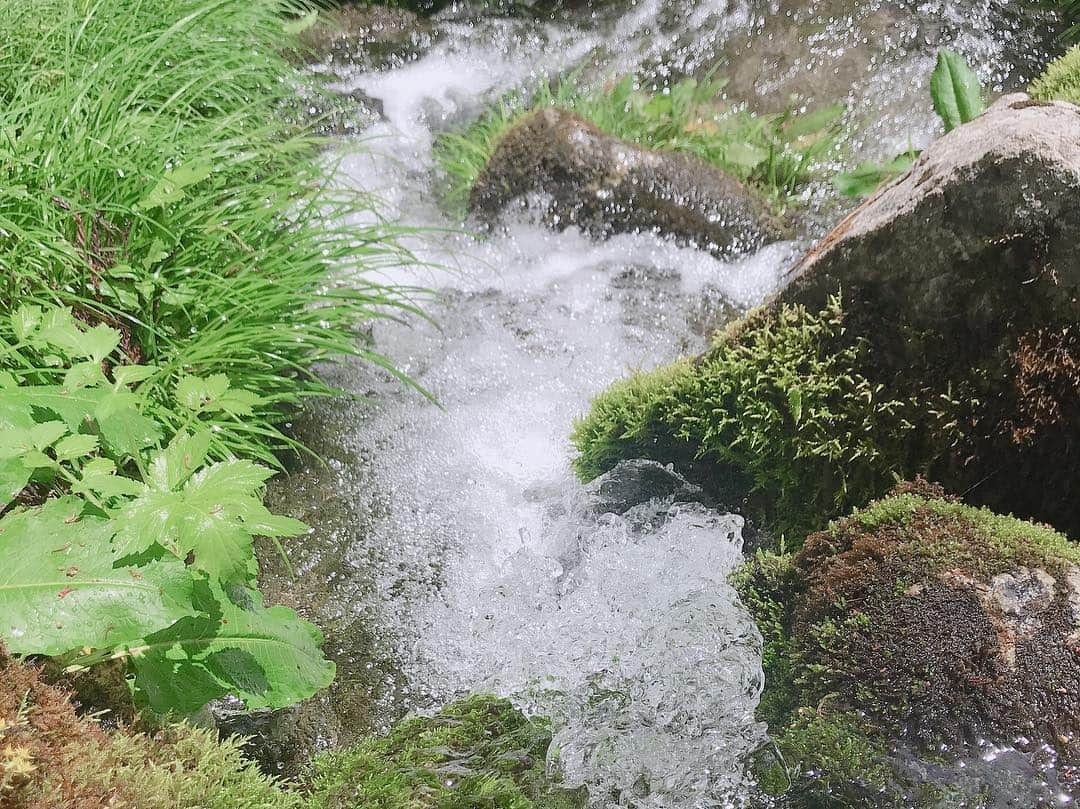 鈴木ちなみさんのインスタグラム写真 - (鈴木ちなみInstagram)「Nature 💚⚪️💙 #円原川 #山県市 #岐阜 #スタイルプラス  #ちなみたび  jacket...#ジネス tops＆pants...@lounie_jp」5月2日 14時08分 - chinami_suzuki0926