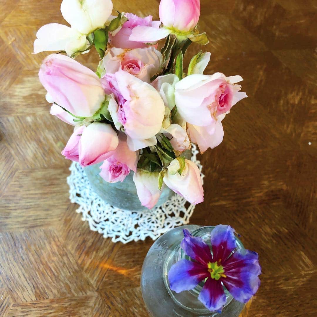 藤田朋子さんのインスタグラム写真 - (藤田朋子Instagram)「大きな花瓶から、少しずつ移していきます  #花 #花瓶 #バラ #薔薇 #rose #vase #tomokofujita」5月2日 14時24分 - chiendormant