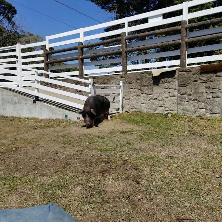 前園真聖のインスタグラム