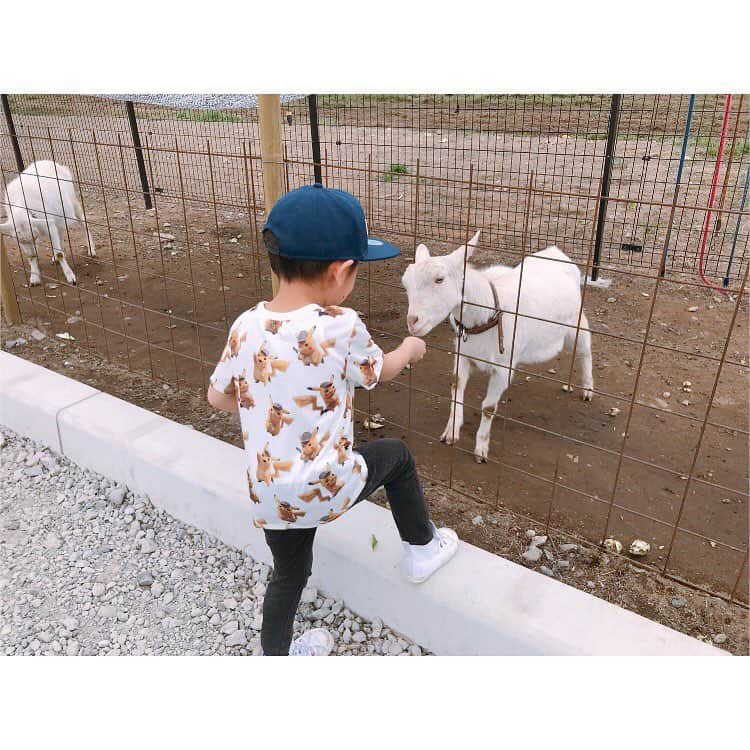 大谷朋子さんのインスタグラム写真 - (大谷朋子Instagram)「♡ * GW💛 やっと晴れた☀︎ * お気に入りのピカチュウのTシャツを着てお出かけ♪ * 最近は何よりもポケモン好きな息子なので、 このTシャツには大喜び◡̈⃝ ピカチュウになりきってました(写真3)♪ * これ着て公園で遊んでいたら、 かわい〜♡って周りの子たちがざわついてた！ * ポケモンX H&Mのコラボアイテム💛 今日から発売です♪ * ちなみに、キャップもH&M♡ * * @hm_kids #HM #HMxME #HMkids  #PokemonxHM #ポケモンxHM #Pokemon #ポケモン #ピカチュウ」5月2日 15時14分 - tomoko_ohtani