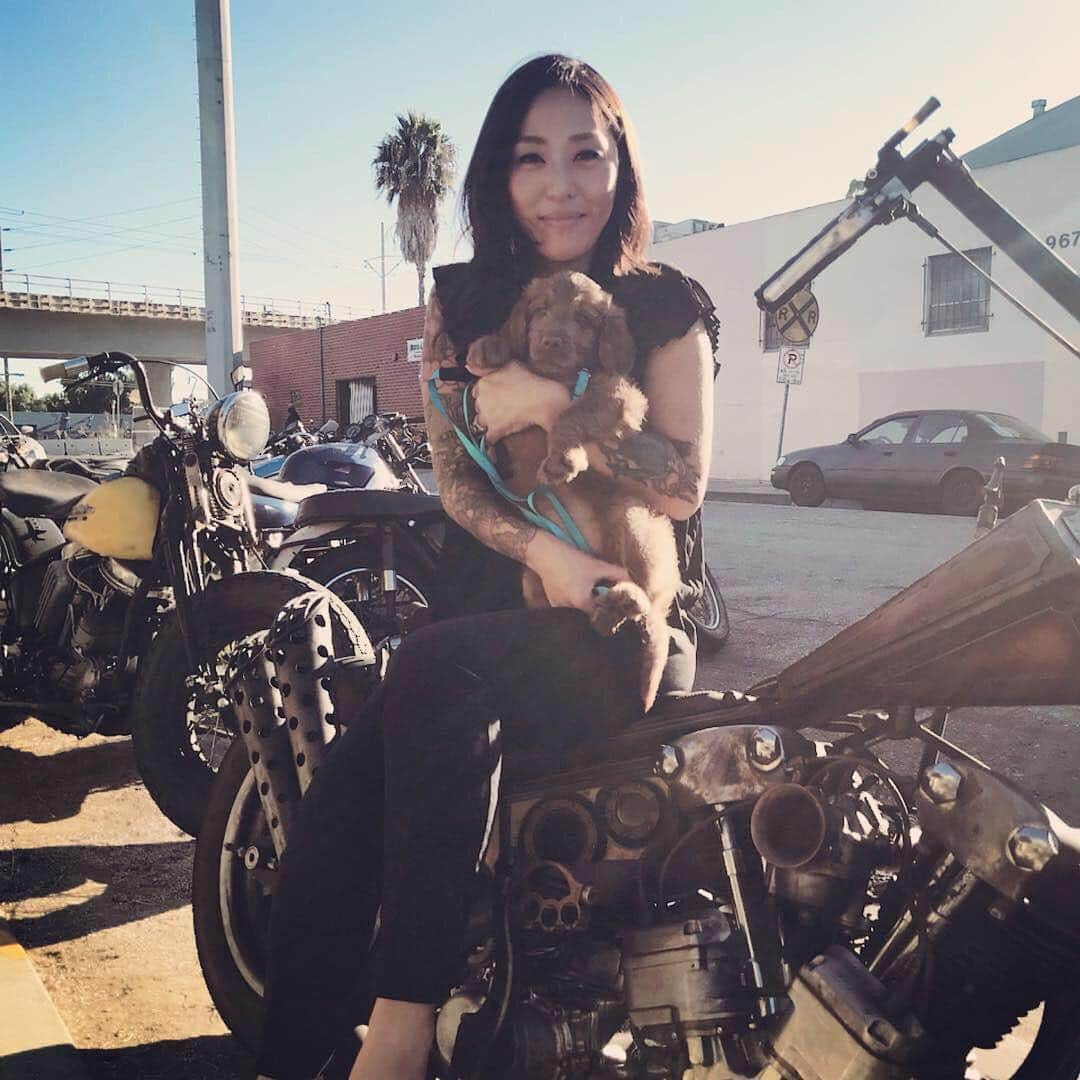 Harley-Davidsonさんのインスタグラム写真 - (Harley-DavidsonInstagram)「Suns out, pups out. 🐶  #HarleyDogs #HarleyDavidson #FindYourFreedom #Knucklehead 📸@lourider_」5月3日 0時57分 - harleydavidson