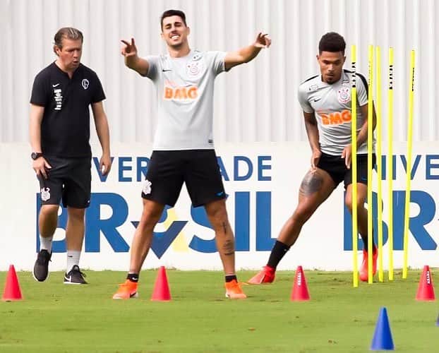のインスタグラム：「A felicidade no trabalho é o resultado de aprender a trabalhar em equipe! 😁 . Foto: @jrdanielaugusto」