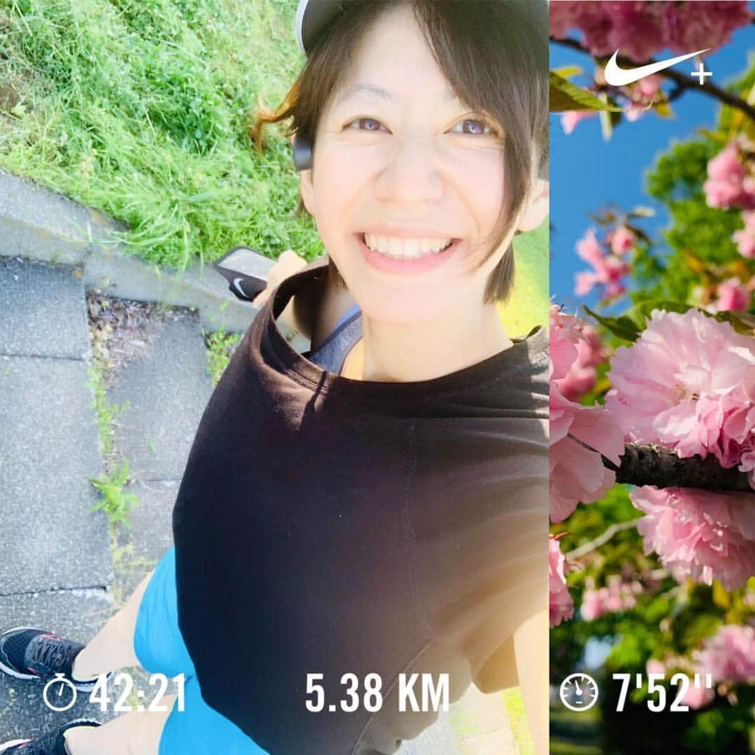 サトウヒロコさんのインスタグラム写真 - (サトウヒロコInstagram)「🏃‍♀️ 相変わらずおそーい。 桜もそろそろおしまいだね〜  改めて思う。 私、アウトドア派なんだね！ ↑本気で気づかなかった。 ・ #サトウヒロコ #シンガーソングランナー #劇遅ラン #ひとり遊び #igランニング #igランナー #ランニング女子 #桜」5月2日 17時21分 - satohiroko1208