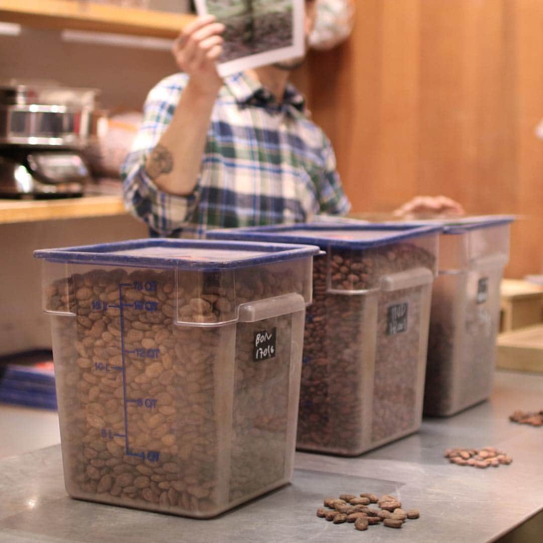 ダンデライオン・チョコレート・ジャパンのグルメインスタ