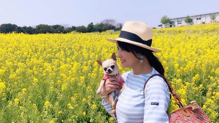 山田佳子のインスタグラム