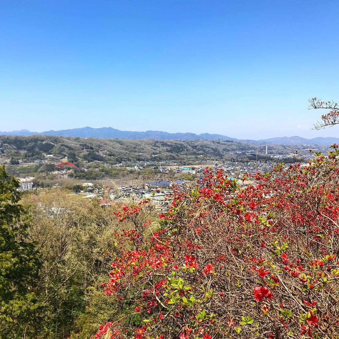 にしおかすみこさんのインスタグラム写真 - (にしおかすみこInstagram)「#埼玉県#秩父#ハイキング テレ東「なないろ日和！」で行かせて頂いた時のひとコマ。 #護国観音#森林浴#パワースポット #ゴールデンウィークおすすめ #山の達人#橋谷晃先生 相変わらず、ほんのちょっとの登りで、「うへぇぇぇ。。」と声を漏らしながら歩いているが、すっかり山好きになった(^ ^) と言ってもビギナーさん向けの山しか行ったことないけど。 #山の達人に全てをお任せして、くっついて歩いているだけだけど。 #何もわかっちゃいないけど。 #休憩の時にいい顔するけど。 #それでも春、夏、秋、冬といろいろな場所に連れて行って頂いて季節を見て嗅いで、足で踏みしめてがいいなあとぼんやり思ったり。」5月2日 17時44分 - nishioka_sumiko