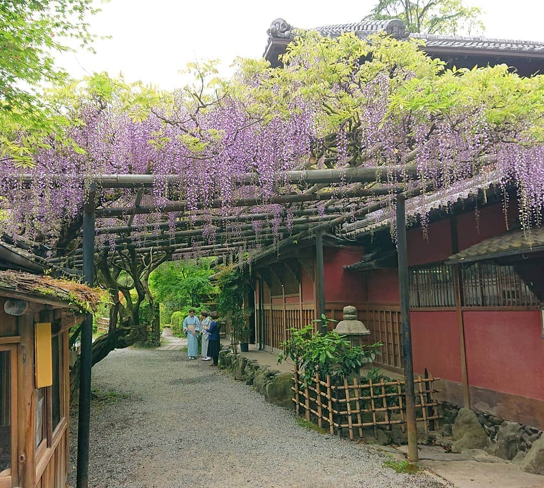 和田益典のインスタグラム