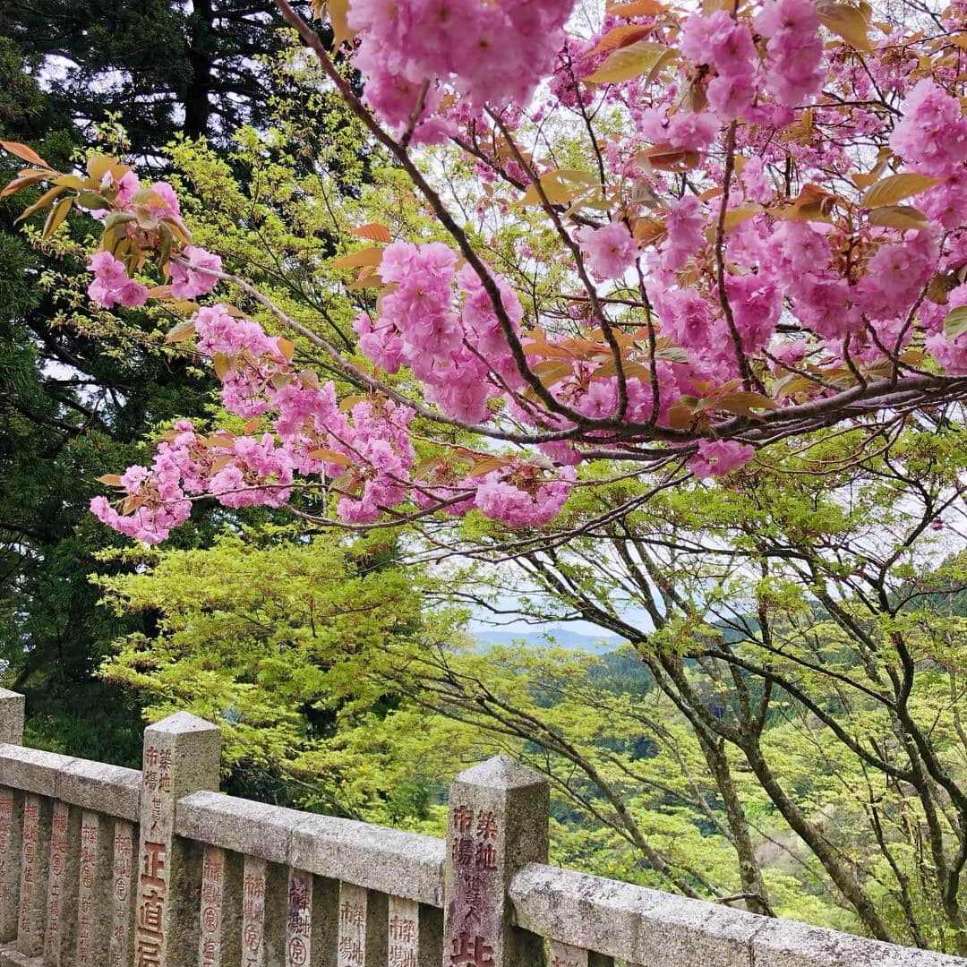 加藤美佐子さんのインスタグラム写真 - (加藤美佐子Instagram)「令和初日はお気に入りの 大山阿夫利神社へ♡  ここはいつ来ても空気が澄んでいて 湧き水も美味しくて 本当に居心地がいい😊✨✨ 皆さんはどんな時間を過ごしているかな♡  #令和元年 #大山阿夫利神社 #神社 #ガレット #cafe #盛りかわ #おみくじは大吉 #霊水 #japan」5月2日 18時37分 - misako.kato